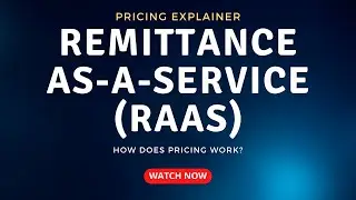 [395] Explaining how the Pricing Works for Remittance-as-a-Service (RaaS)