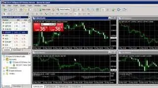 Forex-Port.com - Installation Guide