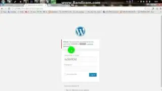 Wordpress Bruteforce site New