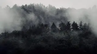 FOG IN THE MOUNTAINS + RELAXING ORIGINAL AMBIENT MUSIC + RAIN SOUNDS, 30 seconds ASMR NATURE RELAX