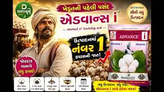 કપાસ ની સૌથી વહેલી અને ૬૦ મણ ઉત્પાદન આપતી વેરાઈટી. BEST COTTON SEEDS VARIETY. Dhanlaxmi Advance