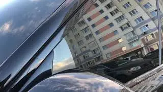 Черный лебедь