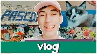 VLOG | ALGUNS DIAS COMIGO ♥