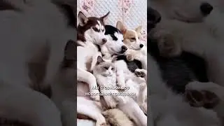 НОВОГОДНИЕ КАНИКУЛЫ 2023