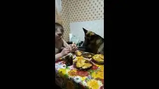 ПЁС МАТЕМАТИК