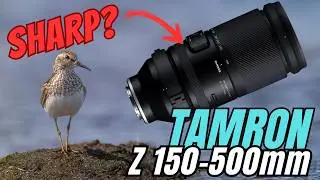 TAMRON 150-500 Z REVIEW! Good Budget Option?
