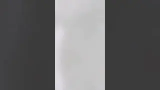 🦭Я вернулась с Сэмом🐉
