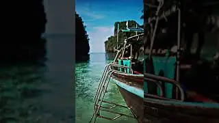 Смотрим рыбок и любуемся кораллами 🤿🏖️🪸 #семейныйотдых# море#морезовёт#Пхукет#морскиепрогулки#phiphi