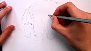 Видео: как нарисовать слона?