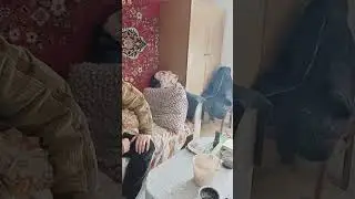 МЕРЗНИ МЕРЗНИ ВОЛЧИЙ ХВОСТ