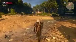 The Witcher 3 - Splish Splash