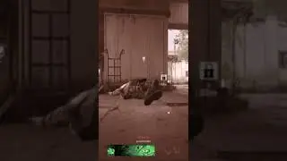 The greatest nade kill in MW2