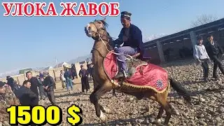 19 Март СУРХОНДАРЁ ОТ БОЗОРИ 1-КИСМ 2020.