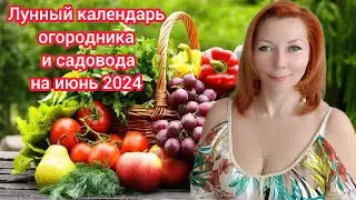 Лунный посевной календарь садовода-огородника на июнь 2024/Когда сажать, обрезать, подкармливать