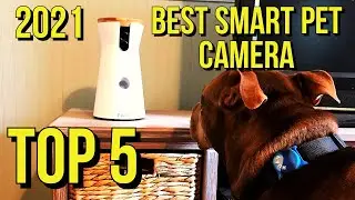 BEST SMART PET CAMERA IN 2021 (BEST SELLER & TALK AND TOSS A TREAT REMOTELY)
