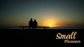 Small Pleasures / Μικρές Χαρές (2008)