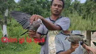 24h sinh tồn, giăng lưới chim cu và cái kết