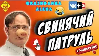 Свинячий патруль |