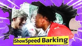 IShowSpeed Barking at Window is a meme now