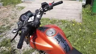 Stels Flame 200/