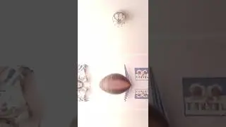17 января 2024 г.