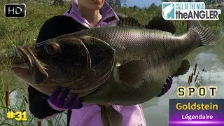 COTW THEANGLER #31 NOUVEAU SPOT & TUTO DU POISSON LÉGENDAIRE GOLDSTEIN ! PÊCHE 2023