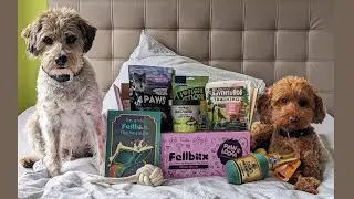 Fellbox unboxing // Pawlooza edition
