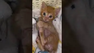 Милый Юсик ему уже месяц и неделя. 