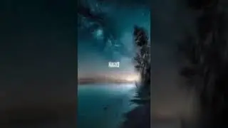Untitled video