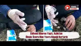 Eldiveni Biberon Yaptı, Açlıktan Ölmek Üzere Olan Yavru Köpeği Kurtardı  14 Şubat 2021  8Gunhaber 1
