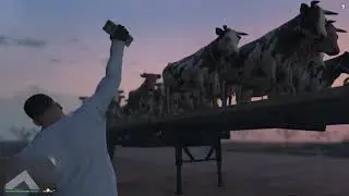 💥 Explosion's 30 Cows .VS. 25 (C4) in GTA 5 💥💥💥