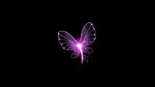 flying butterfly black screen | butterfly effect background video | black screen butterfly