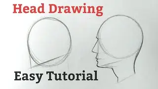 How to draw heads for beginners | Human Head drawing side view easy basics tutorial for beginners