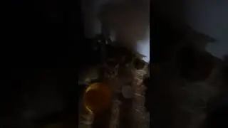 25 ноября 2023 г.
