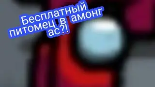 Как получить питомца в амонг ас БЕСПЛАТНО???!!!!