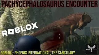 A PACHYCEPHALOSAURUS ENCOUNTER - ROBLOX | Phoenix International, The Sanctuary | 