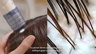 The Secret to Delaying the Grey Starts Here
