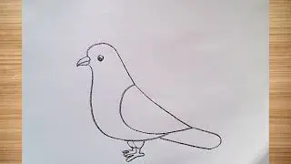 how to draw bird drawing easy step by step@DrawingTalent