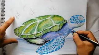 Dibujo de tortuga con balsas - cámara rápida - Lual ruka del arte