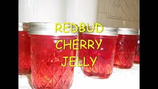 RedBud Cherry Jelly