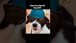 Enjoy Your Special Day, Birthday Boy Neil! (Pawsitive Rufflections)#shorts