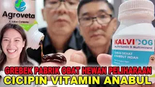 Grebek Pabrik Obat & Vitamin Anabul Terbesar Indonesia
