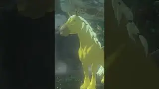 Secret about Zelda's Golden horse in TOTK