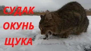 Зимняя рыбалка! Пенсионеры и школьники на льду!№58