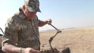 Finding Blesbok carcass