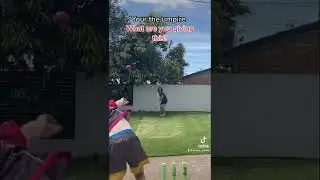 Your the umpire. Out or not out?
