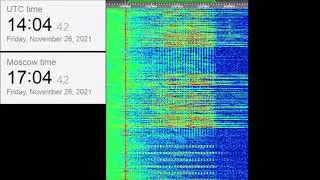 The Buzzer/UVB-76(4625Khz) November 26+27, 2021 Voice messages