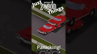 Just Project Zomboid being Project Zomboid