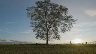Patrick Droney - Free [Official Visualizer]