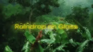 Rain Drop on Glass: Premiere Pro template